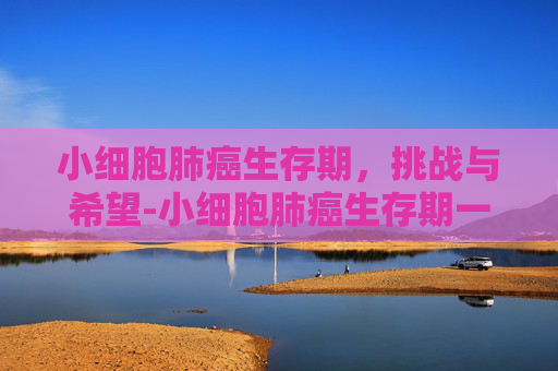 小细胞肺癌生存期，挑战与希望-小细胞肺癌生存期一般是多久
