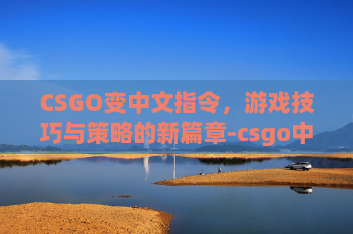CSGO变中文指令，游戏技巧与策略的新篇章-csgo中文在哪调