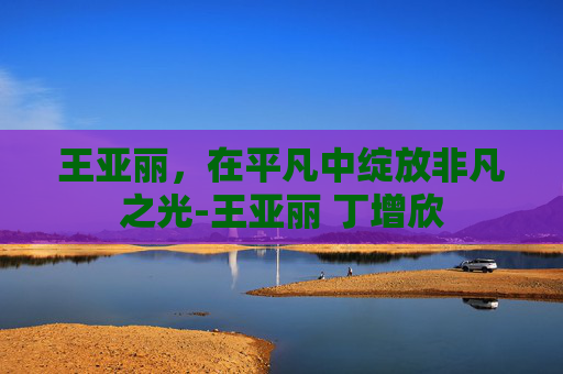 王亚丽，在平凡中绽放非凡之光-王亚丽 丁增欣
