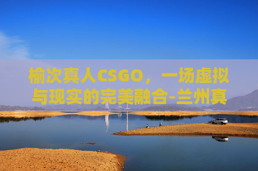 榆次真人CSGO，一场虚拟与现实的完美融合-兰州真人cs玩一次多少钱