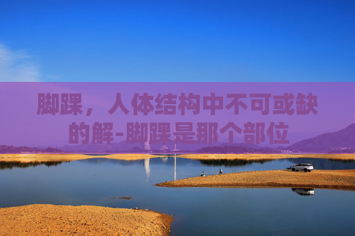 脚踝，人体结构中不可或缺的解-脚踝是那个部位