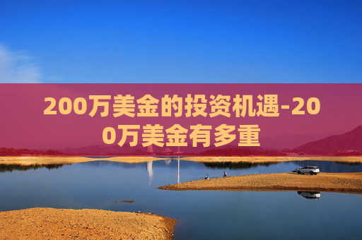 200万美金的投资机遇-200万美金有多重