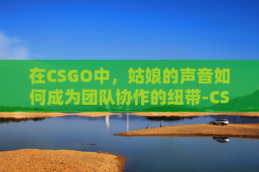 在CSGO中，姑娘的声音如何成为团队协作的纽带-CS GO的声音