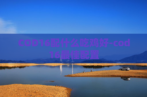 COD16配什么吃鸡好-cod16最佳配置