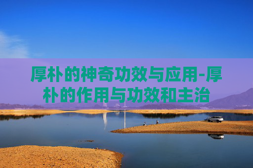 厚朴的神奇功效与应用-厚朴的作用与功效和主治