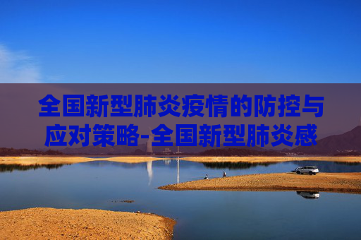 全国新型肺炎疫情的防控与应对策略-全国新型肺炎感染数据