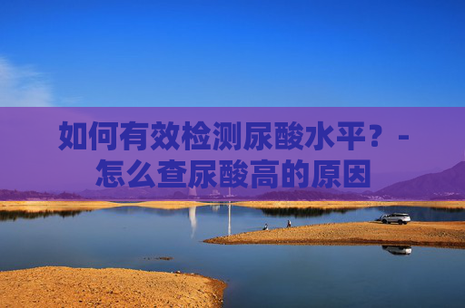 如何有效检测尿酸水平？-怎么查尿酸高的原因