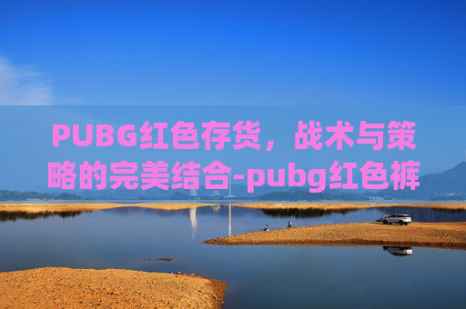 PUBG红色存货，战术与策略的完美结合-pubg红色裤子