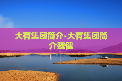 大有集团简介-大有集团简介魏健