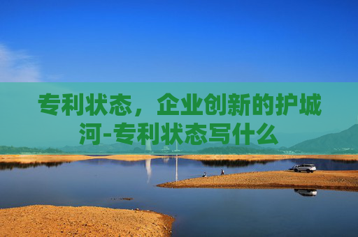 专利状态，企业创新的护城河-专利状态写什么
