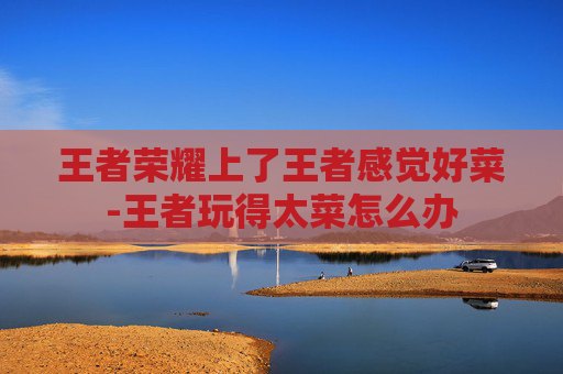 王者荣耀上了王者感觉好菜-王者玩得太菜怎么办