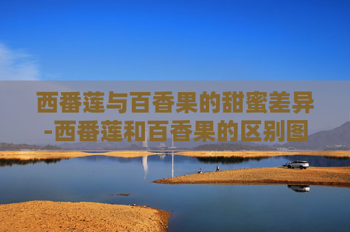 西番莲与百香果的甜蜜差异-西番莲和百香果的区别图片