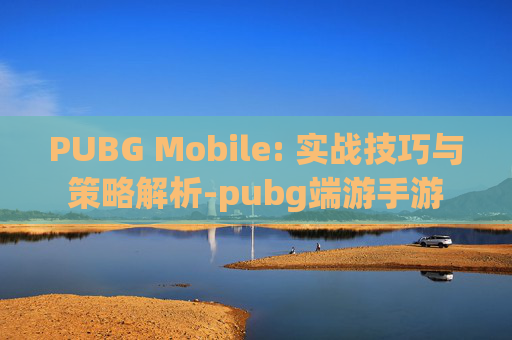 PUBG Mobile: 实战技巧与策略解析-pubg端游手游