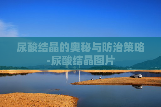 尿酸结晶的奥秘与防治策略-尿酸结晶图片