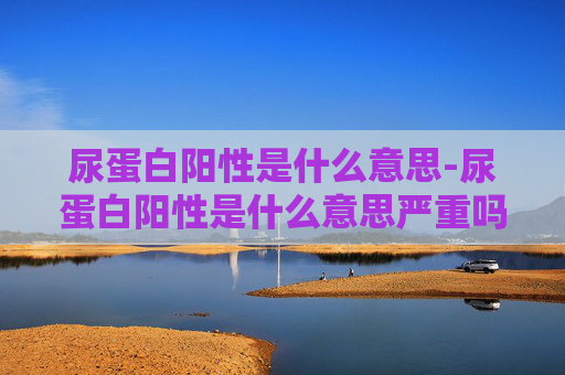 尿蛋白阳性是什么意思-尿蛋白阳性是什么意思严重吗