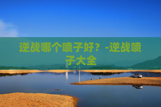 逆战哪个喷子好？-逆战喷子大全