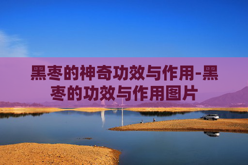 黑枣的神奇功效与作用-黑枣的功效与作用图片