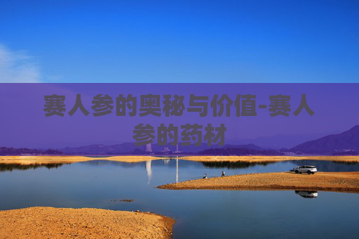 赛人参的奥秘与价值-赛人参的药材