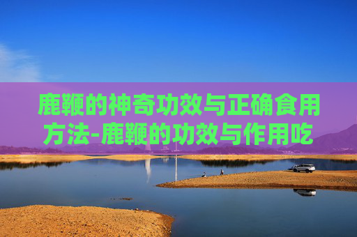 鹿鞭的神奇功效与正确食用方法-鹿鞭的功效与作用吃法和禁忌