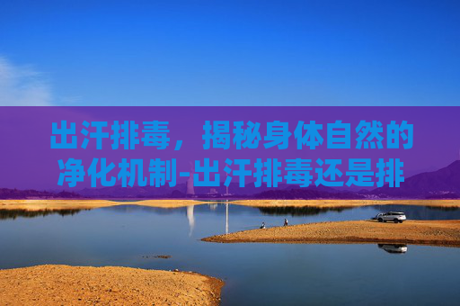 出汗排毒，揭秘身体自然的净化机制-出汗排毒还是排湿