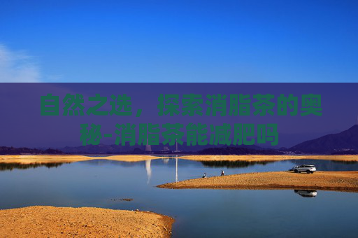 自然之选，探索消脂茶的奥秘-消脂茶能减肥吗