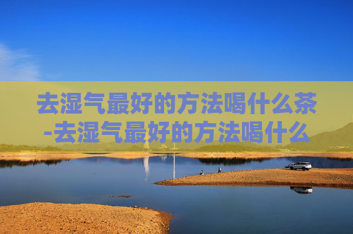 去湿气最好的方法喝什么茶-去湿气最好的方法喝什么茶饮