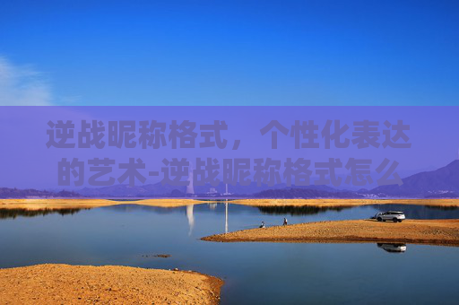 逆战昵称格式，个性化表达的艺术-逆战昵称格式怎么改