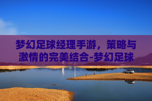 梦幻足球经理手游，策略与激情的完美结合-梦幻足球经理手游下载