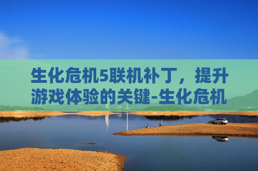 生化危机5联机补丁，提升游戏体验的关键-生化危机5联机补丁怎么安装