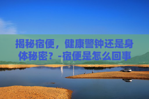 揭秘宿便，健康警钟还是身体秘密？-宿便是怎么回事