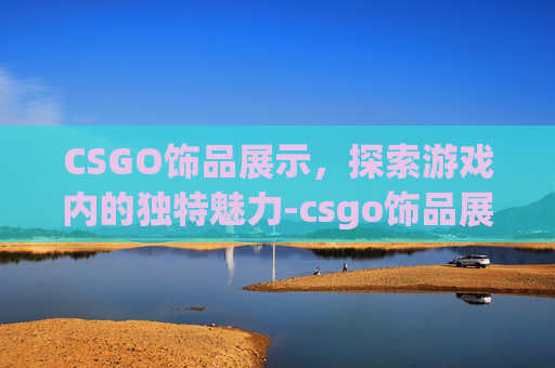 CSGO饰品展示，探索游戏内的独特魅力-csgo饰品展示