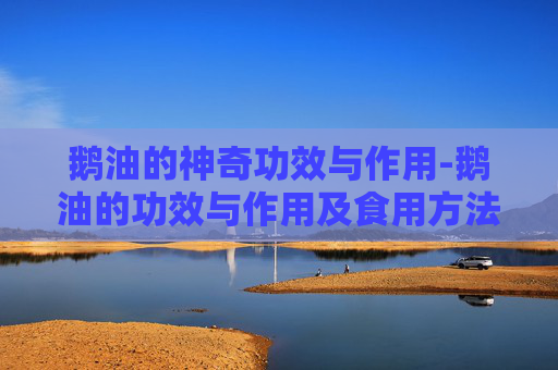 鹅油的神奇功效与作用-鹅油的功效与作用及食用方法