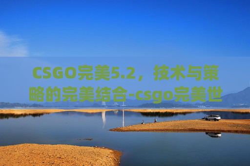 CSGO完美5.2，技术与策略的完美结合-csgo完美世界平台怎么进