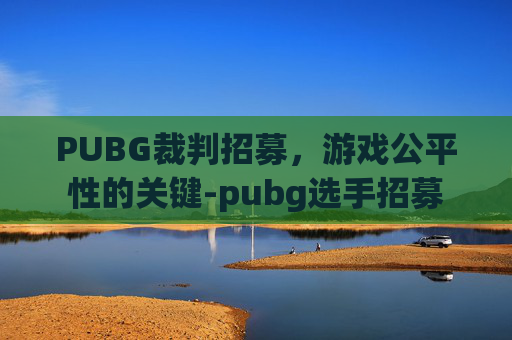 PUBG裁判招募，游戏公平性的关键-pubg选手招募