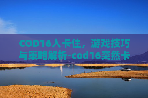COD16人卡住，游戏技巧与策略解析-cod16突然卡死什么都动不了
