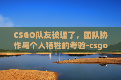 CSGO队友被埋了，团队协作与个人牺牲的考验-csgo伤害队友被t