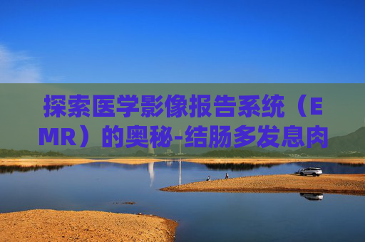 探索医学影像报告系统（EMR）的奥秘-结肠多发息肉emr是什么意思
