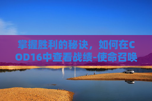 掌握胜利的秘诀，如何在COD16中查看战绩-使命召唤16怎么看战绩