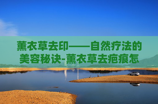 薰衣草去印——自然疗法的美容秘诀-薰衣草去疤痕怎么样