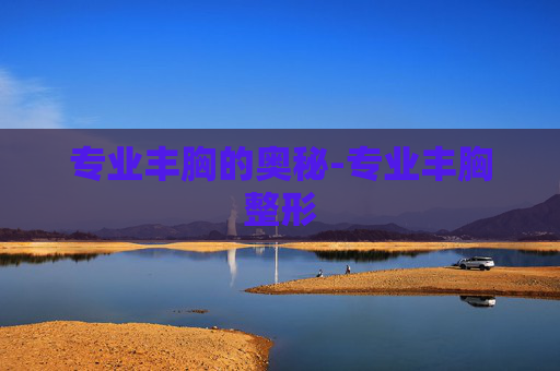 专业丰胸的奥秘-专业丰胸整形