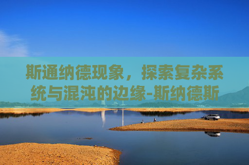 斯通纳德现象，探索复杂系统与混沌的边缘-斯纳德斯坦纳
