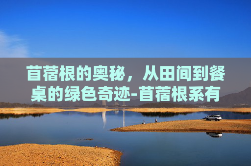 苜蓿根的奥秘，从田间到餐桌的绿色奇迹-苜蓿根系有多长