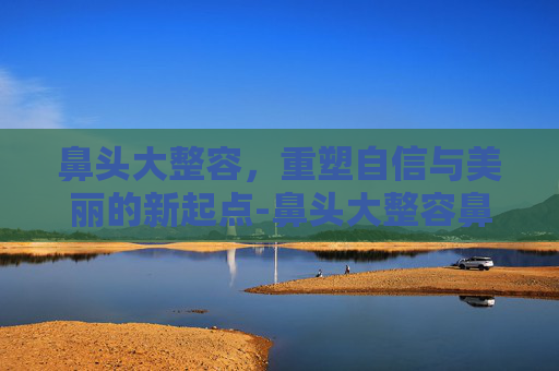 鼻头大整容，重塑自信与美丽的新起点-鼻头大整容鼻头整形术图片