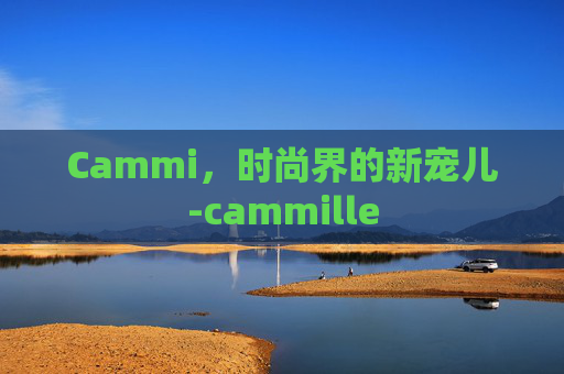 Cammi，时尚界的新宠儿-cammille