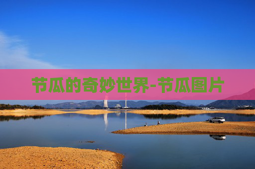 节瓜的奇妙世界-节瓜图片