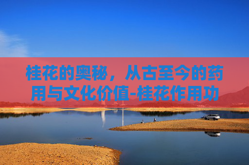 桂花的奥秘，从古至今的药用与文化价值-桂花作用功效是什么
