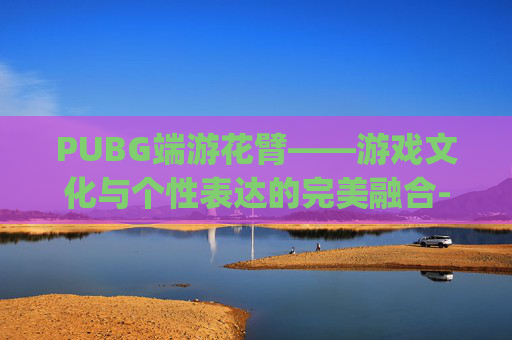 PUBG端游花臂——游戏文化与个性表达的完美融合-pubg花臂上衣