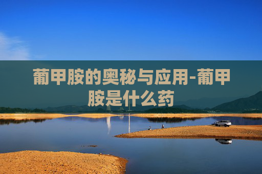 葡甲胺的奥秘与应用-葡甲胺是什么药
