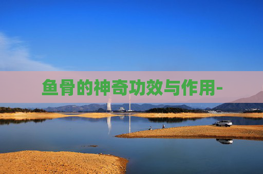 鱼骨的神奇功效与作用-