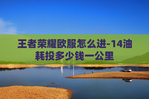 王者荣耀欧服怎么进-14油耗投多少钱一公里